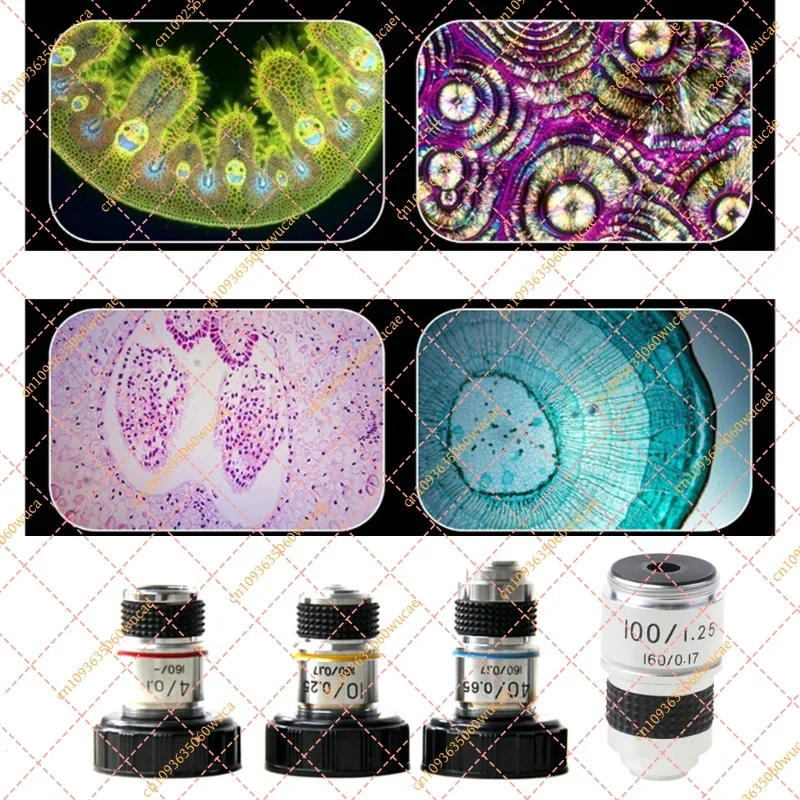 4X-100X Achromatic Objective Lens RMS Thread High Definition Microscope Optical Replacement Lens Accessories
