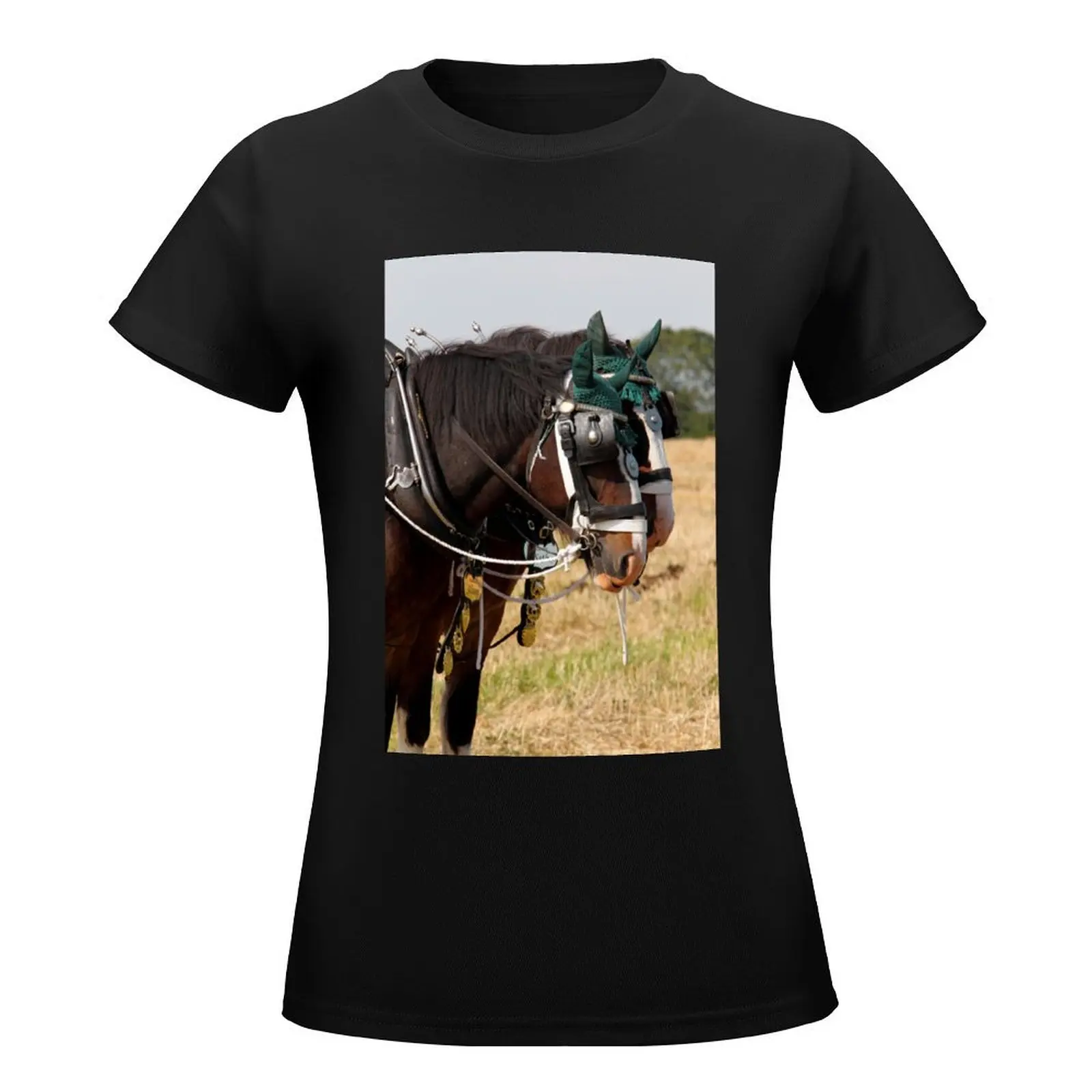 Shire horses T-Shirt Female clothing lady clothes Woman clothes