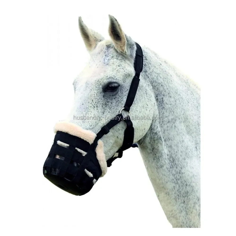 

Horse grazing muzzle with halter of equestrian equipments