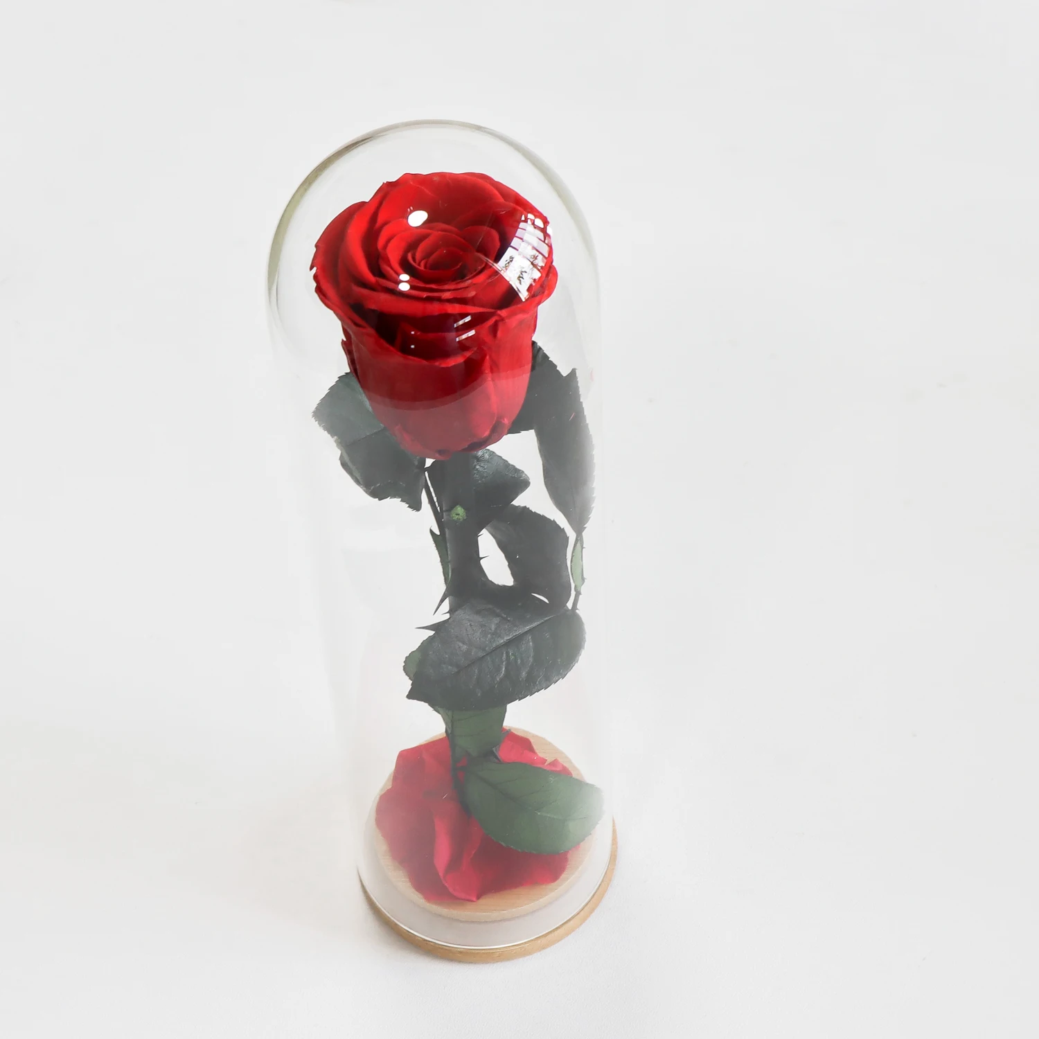ดอกไม้อมตะเดี่ยวในแก้ว ดอกกุหล - Flower Preservation Resin บทวิจารณ์และราคา