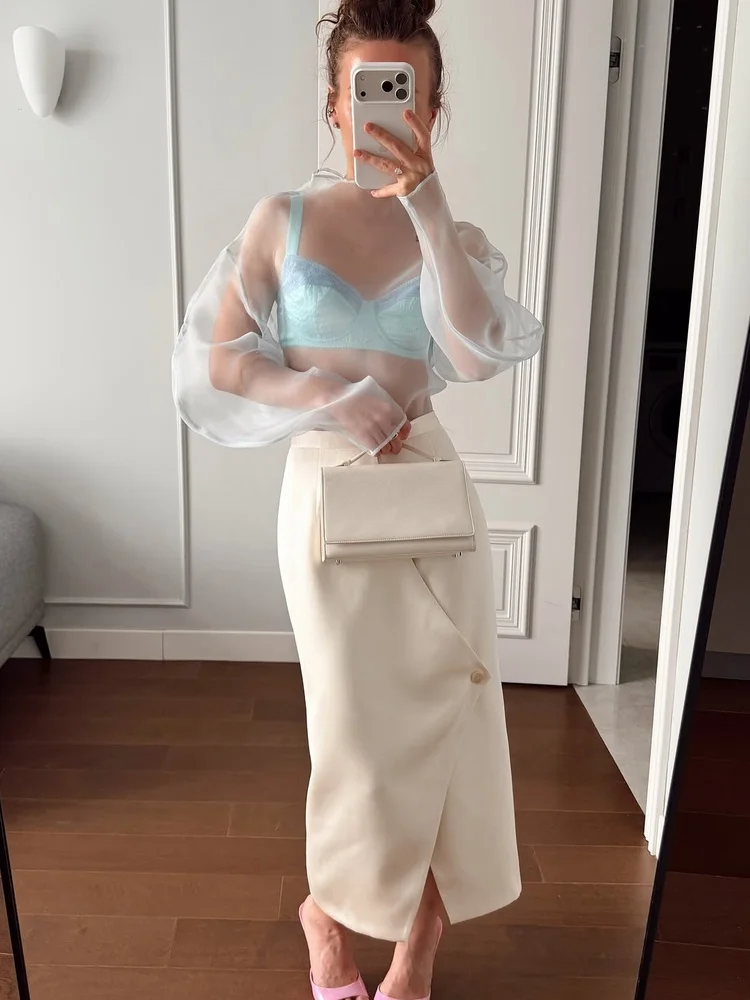 Tossy Sheer Organza Blouse Mock Neck Long Sleeve See Through Casual Daily Streetwear Going Out Summer Loose Fit Sheer Top Blouse
