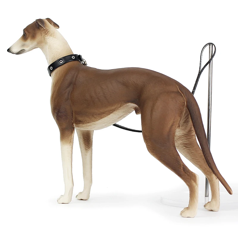 Realistic Greyhound Animales Toy Action Figure - Collectible Model for Kids & Adults, Animal Collection Display Toy