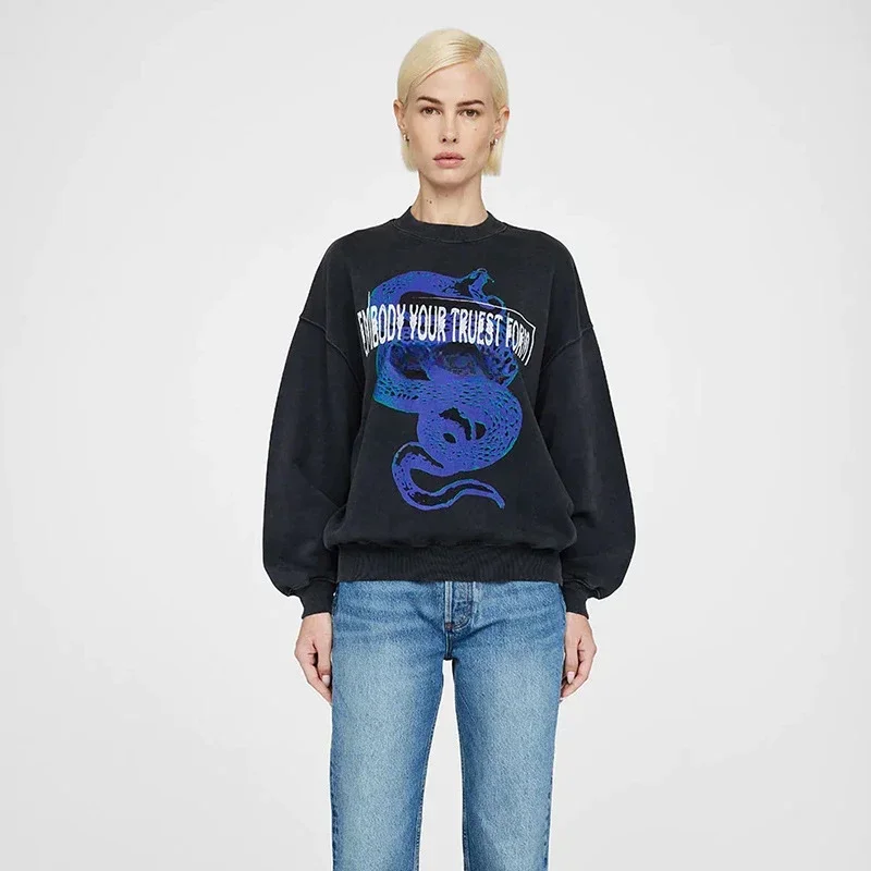 

New North American Niche AB Blue Snake Letter Printing Wash Water Fried Snow Fried Color Round Neck Hoodie Woman