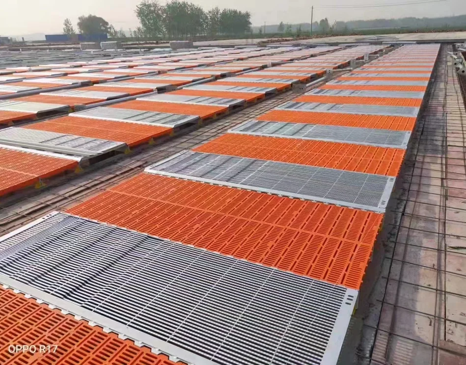 

New Durable Material Goat Slat Floor Anti-Skid Surface Leakage Dung Function Certified for Professional Goat Farm