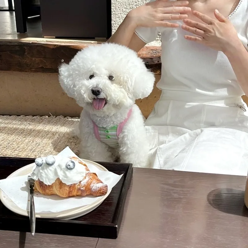 Teddy Striped Small Vest Summer Thin Pet Suspenders Bichon Short T-shirt Small and Medium-sized Dog Casual Clothes - Image 6