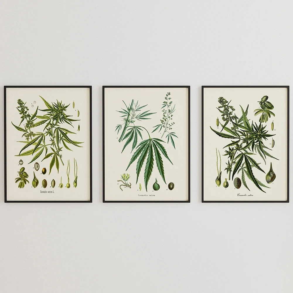 Vintage Botanical Posters Prints Canvas Painting Kitchen Wall Art Pictures Herb Weed Medicinal Plants for Living Room Home De