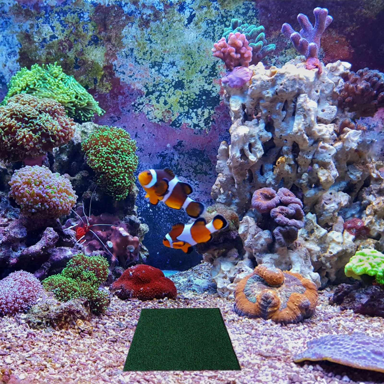 

Simulation Plants Lawn for Fish Tank Aquarium Decor Realistic Shape Fine Workmanship Mini Gardening Props Easy to Use