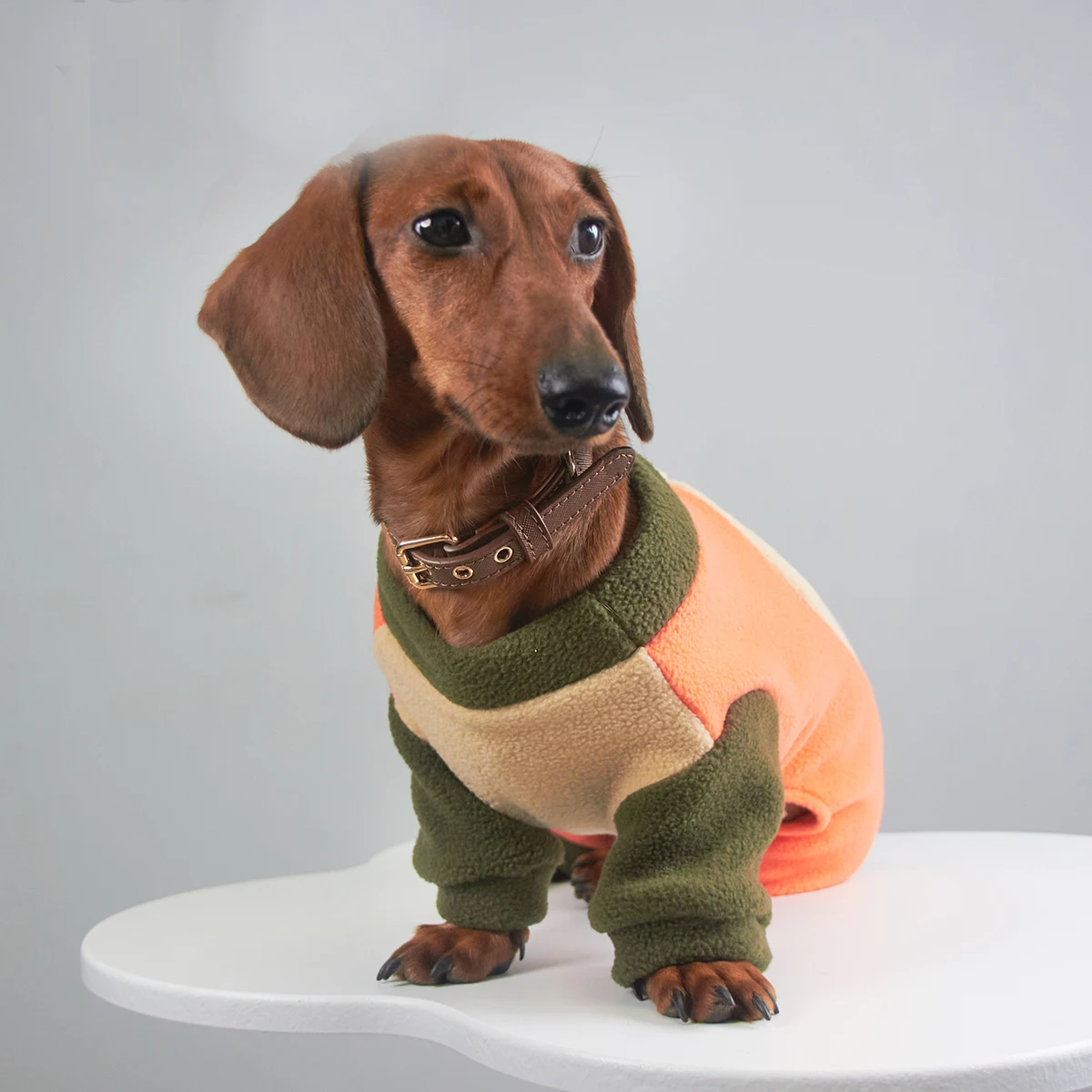 Camiseta de lana de retales para perros Wiener en otoño, pijamas suaves de manga larga para perros salchicha, abrigo cálido para perro salchicha en invierno