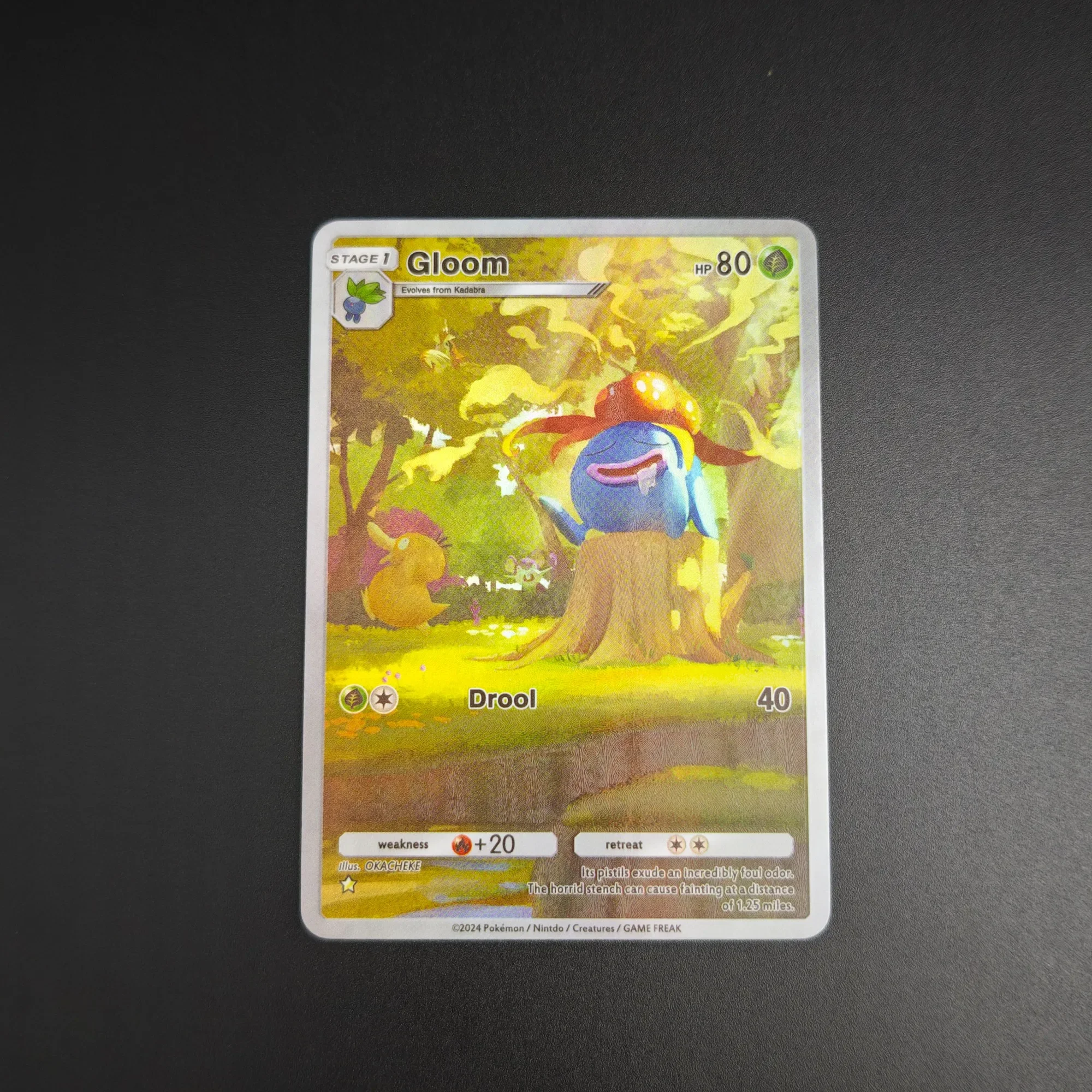 11Pcs/set DIY P.M. Pocket Collection Card Blastoise Venusaur Rapidash English Game PTCG Collection Card Rough Color