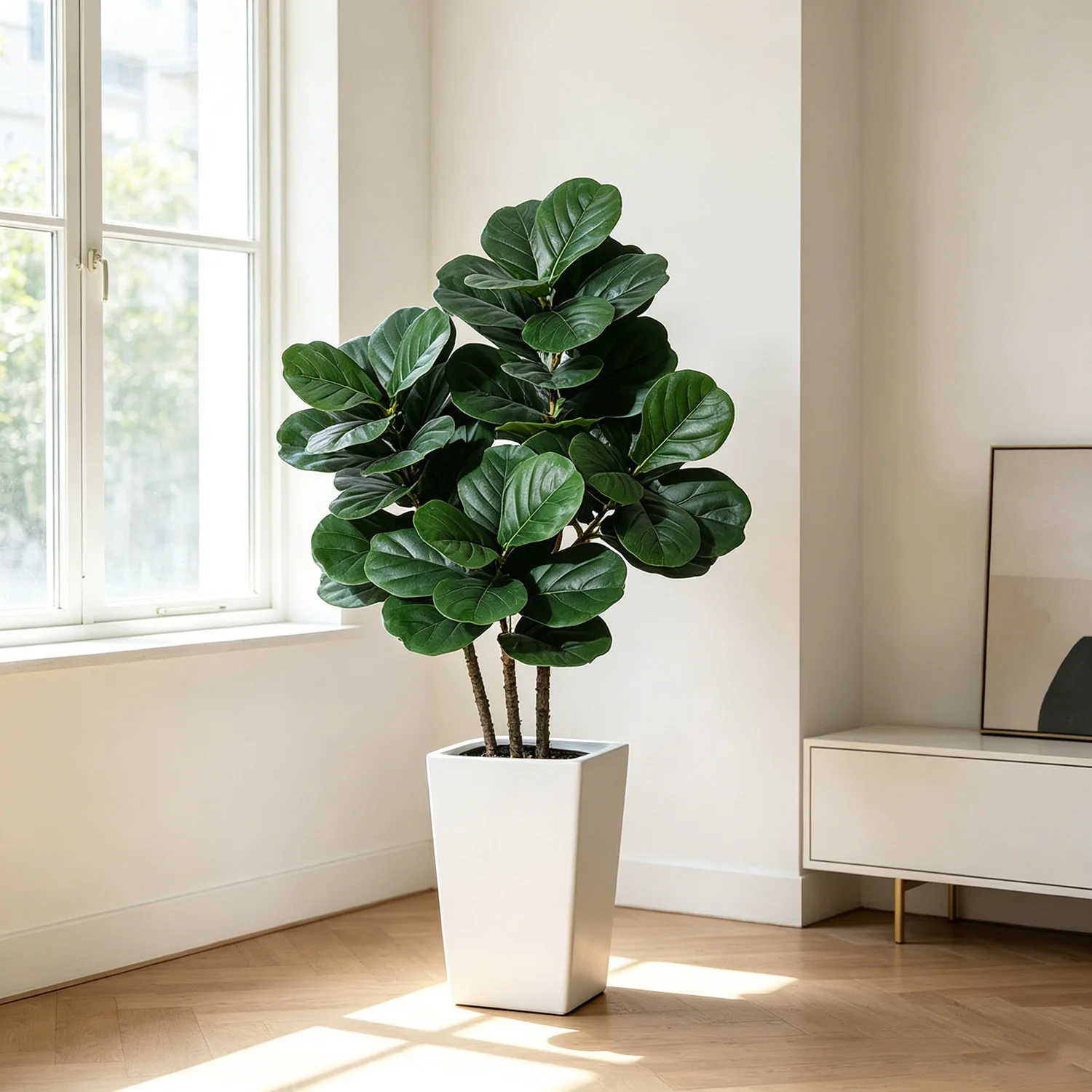 Ficus Lyrata artificiel de 120/150/180 cm avec pot blanc, Ficus Lyrata artificiel multi-troncs avec tronc en bois naturel, plante d'intérieur réaliste pour la décoration de la maison, du bureau et du salon