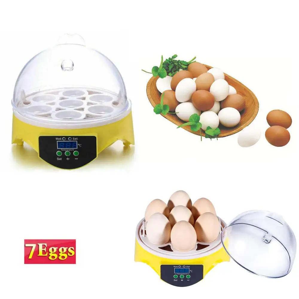 

LED Curing Machine Five-color Lotus Base Dental Light Curing Machine Dental Orthodontics Tool Silver (with UK