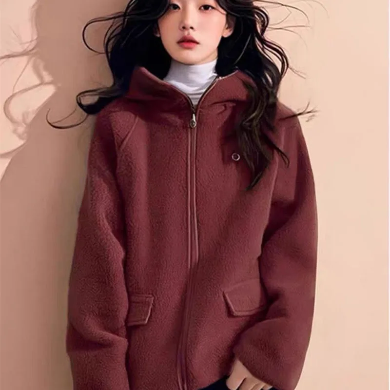 Nowa bluza z kapturem damska na wiosnę, jesień i zimę 2026, ekskluzywna fioletowa bluza z pluszu jagnięcego, luźna, ciepła, gruba kurtka z zamkiem błyskawicznym.