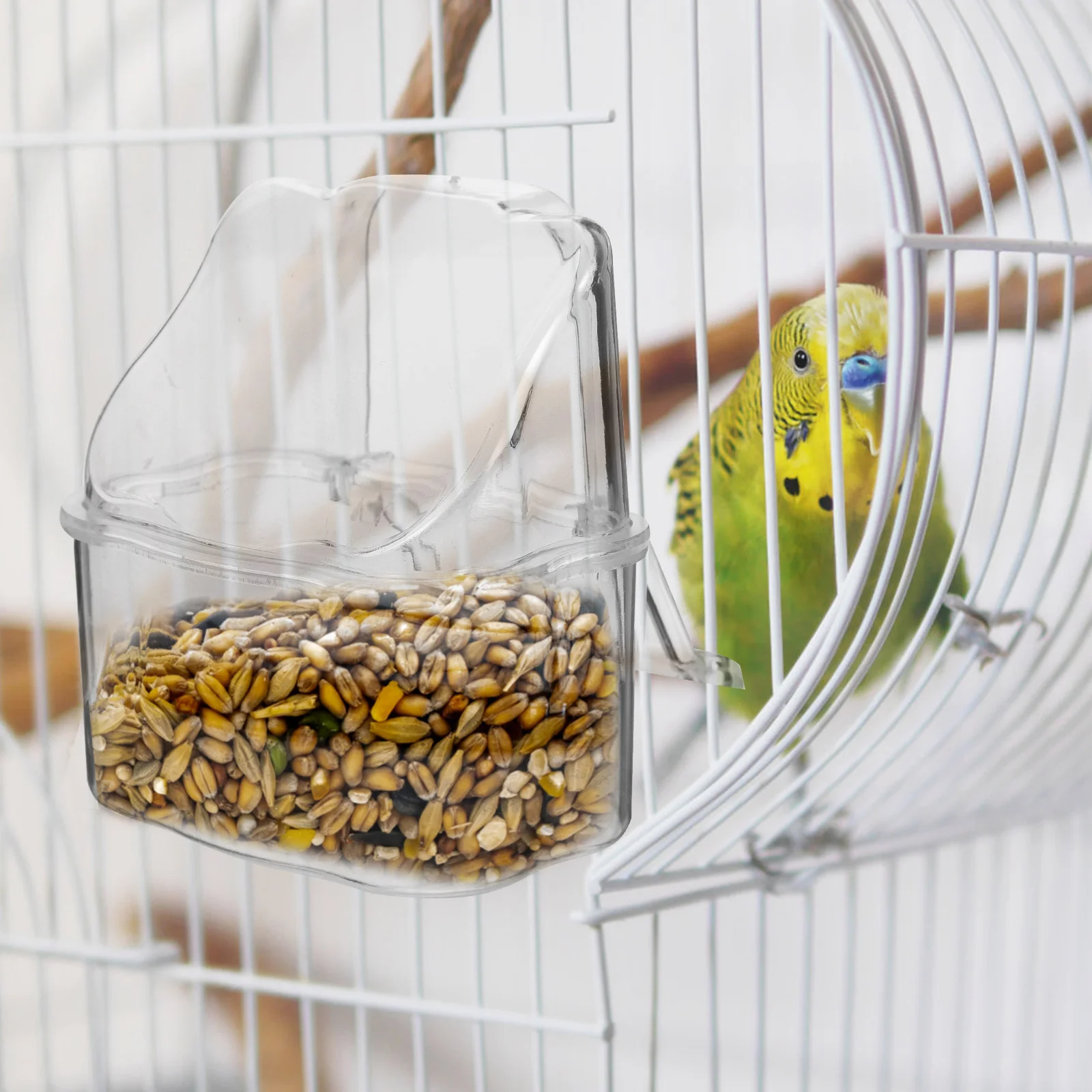 Vogelkooi Hangende Voedseldoos Kommen voor Voeden Gereedschap Clear Feeder Papegaai Praktisch Water