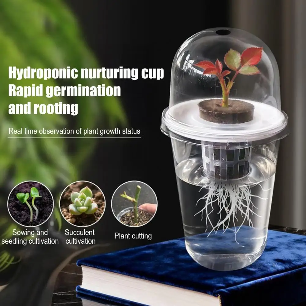 Hydroponic Seeds Starter Transparent Plant Propagation Cup Plant Propagation Station Kit Transparent Hydroponic for Succulents