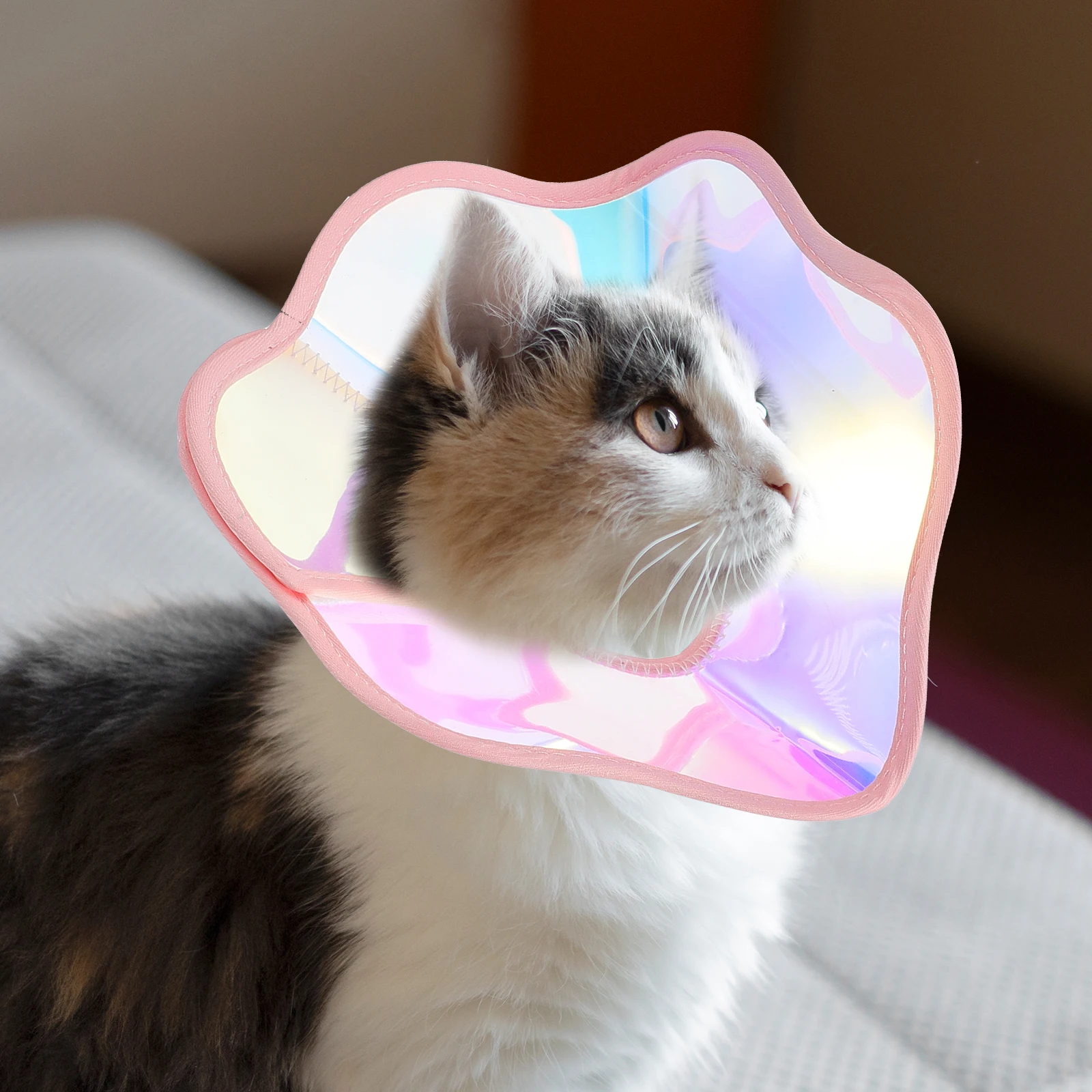 

Adjustable Pet Collar Cat Dog Cone Collars Protective Recovery PVC Elizabeth Circle Waterproof Dirt Resistant Surgical Healing