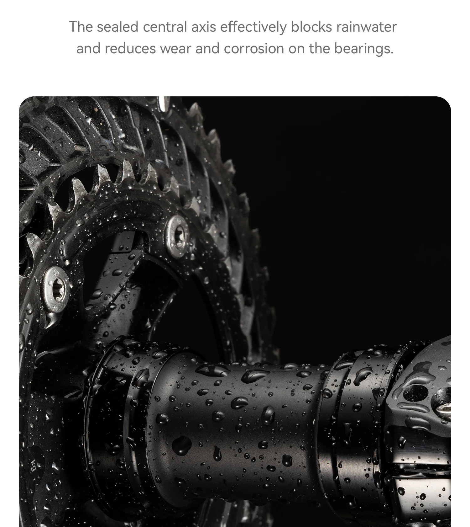 sealed bottom bracket bearing structure
