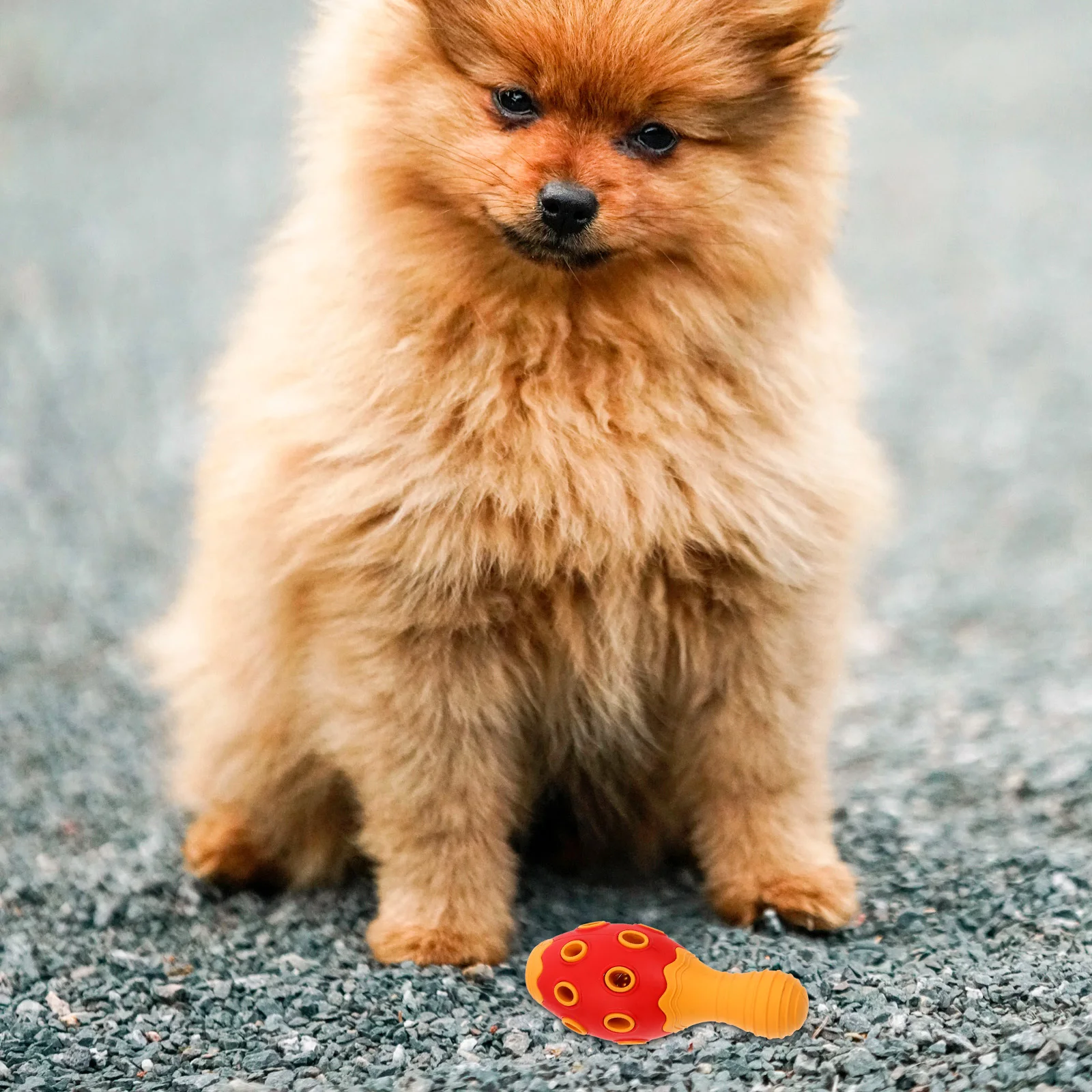 

Bite Resistant Rubber Squeaky Ball Pet Chew Treat Interactive Feeder Puppy Training Plaything Dog Chew Puppy Treat