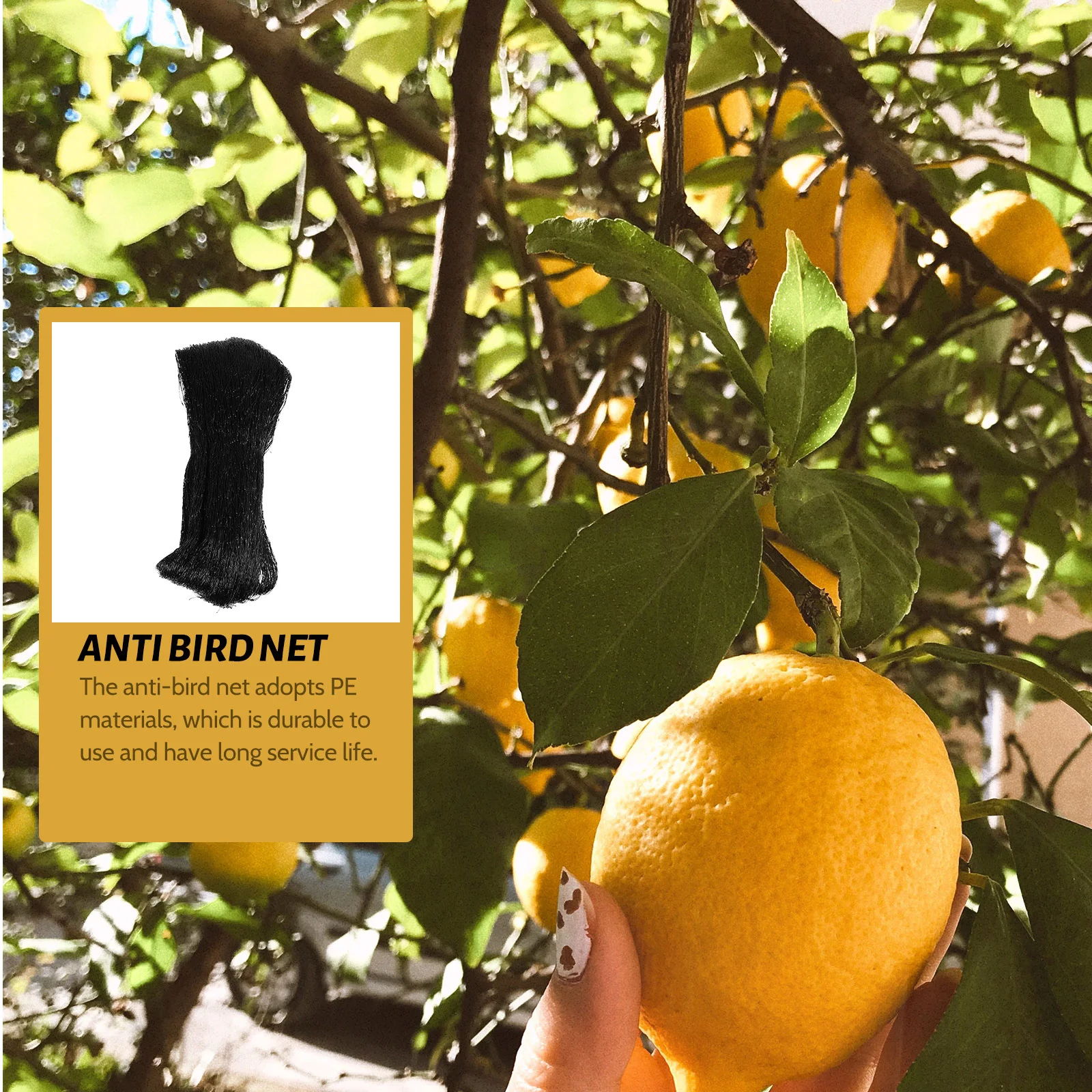 

Anti-Bird Net Pe Heavy Duty Fine Mesh For Garden Fruits Vegetables Berries Flowers Protection Plant Netting Mesh