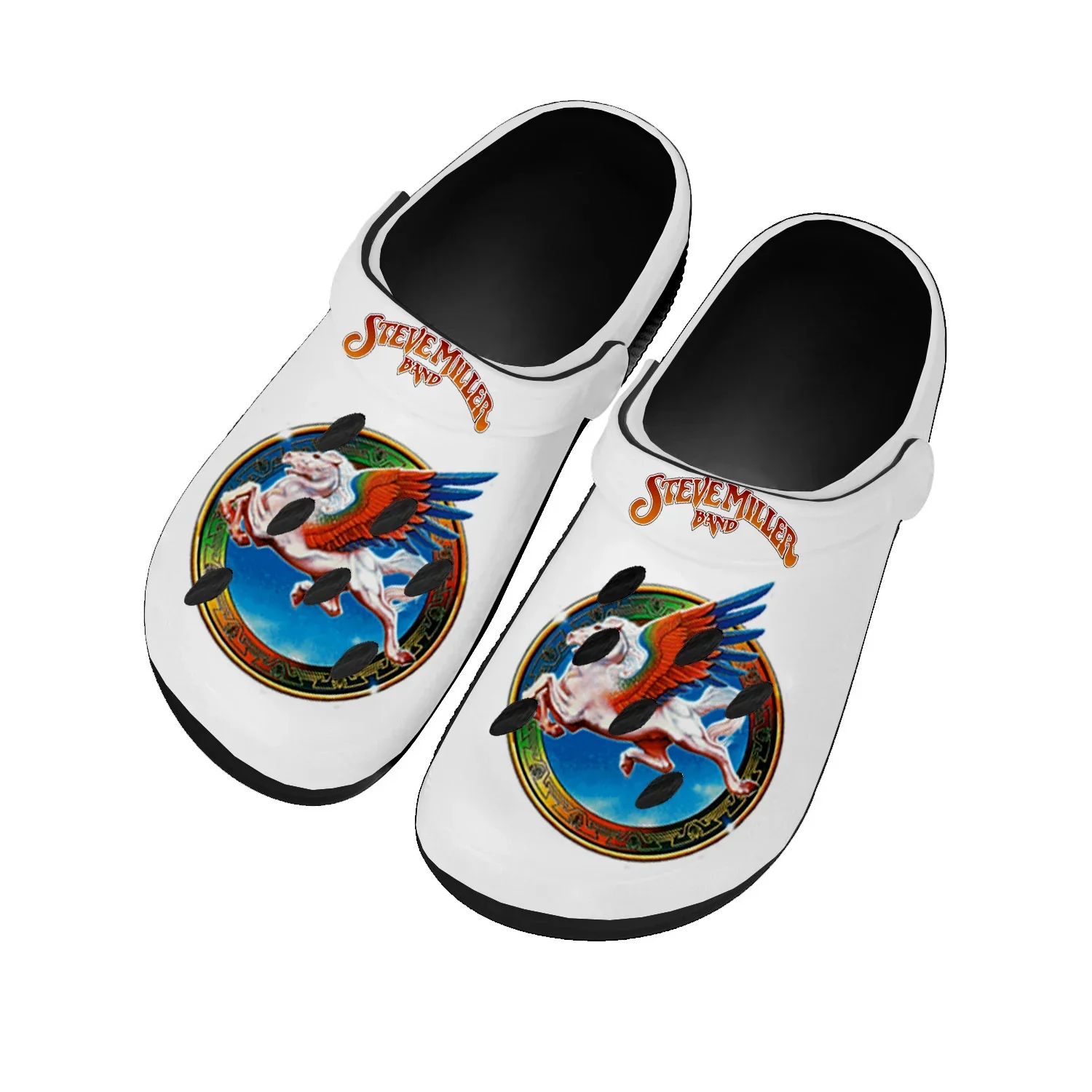 

Steve Miller Rock Band Home Clogs Custom Water Shoes Mens Womens Teenager Shoe Garden Clog Breathable Beach Hole Slippers Black