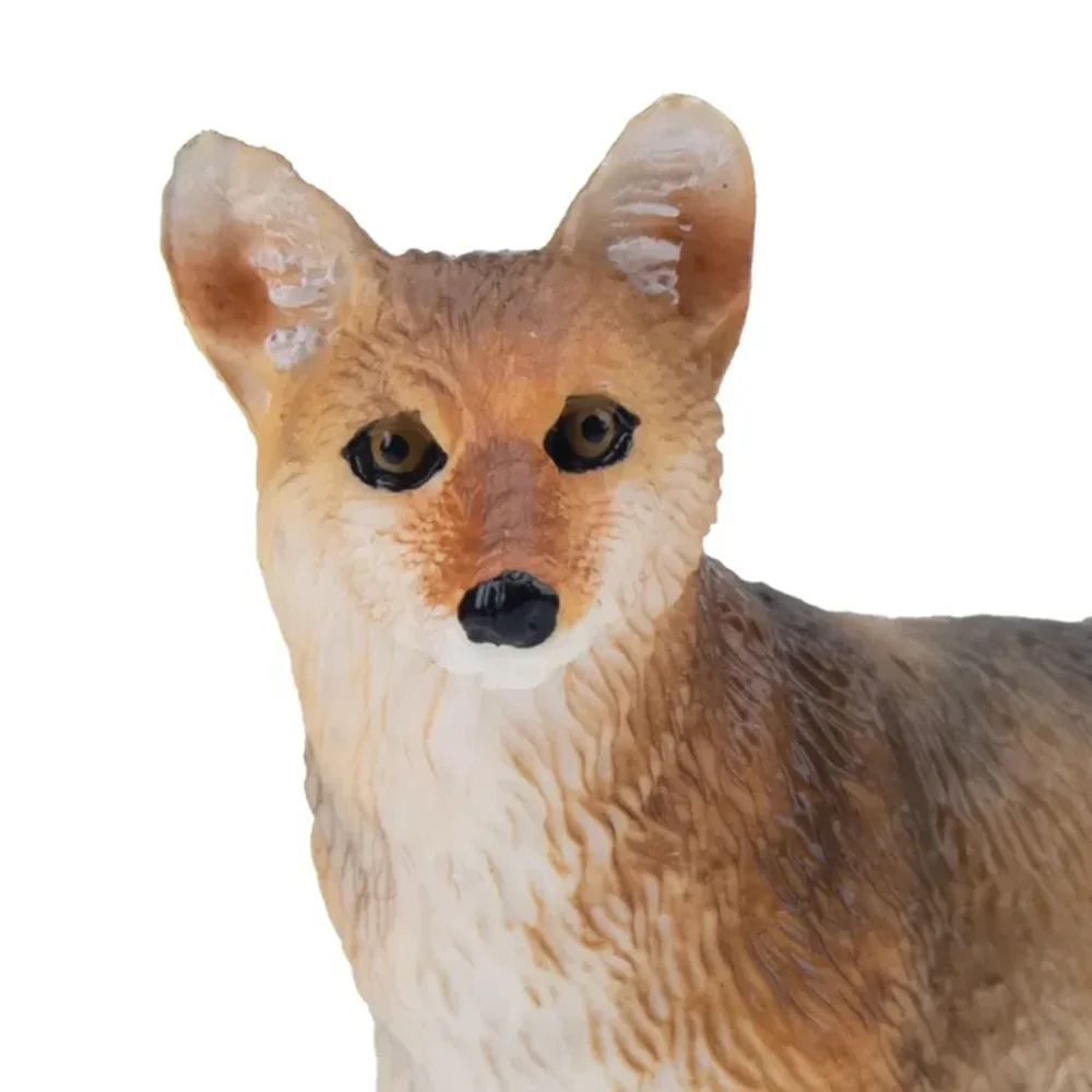 Toymany Simulation Coyote Wildlife  Animal Model Toy Mini Figures Dolls Action Figurines Toys Children Gift Cake Decoration