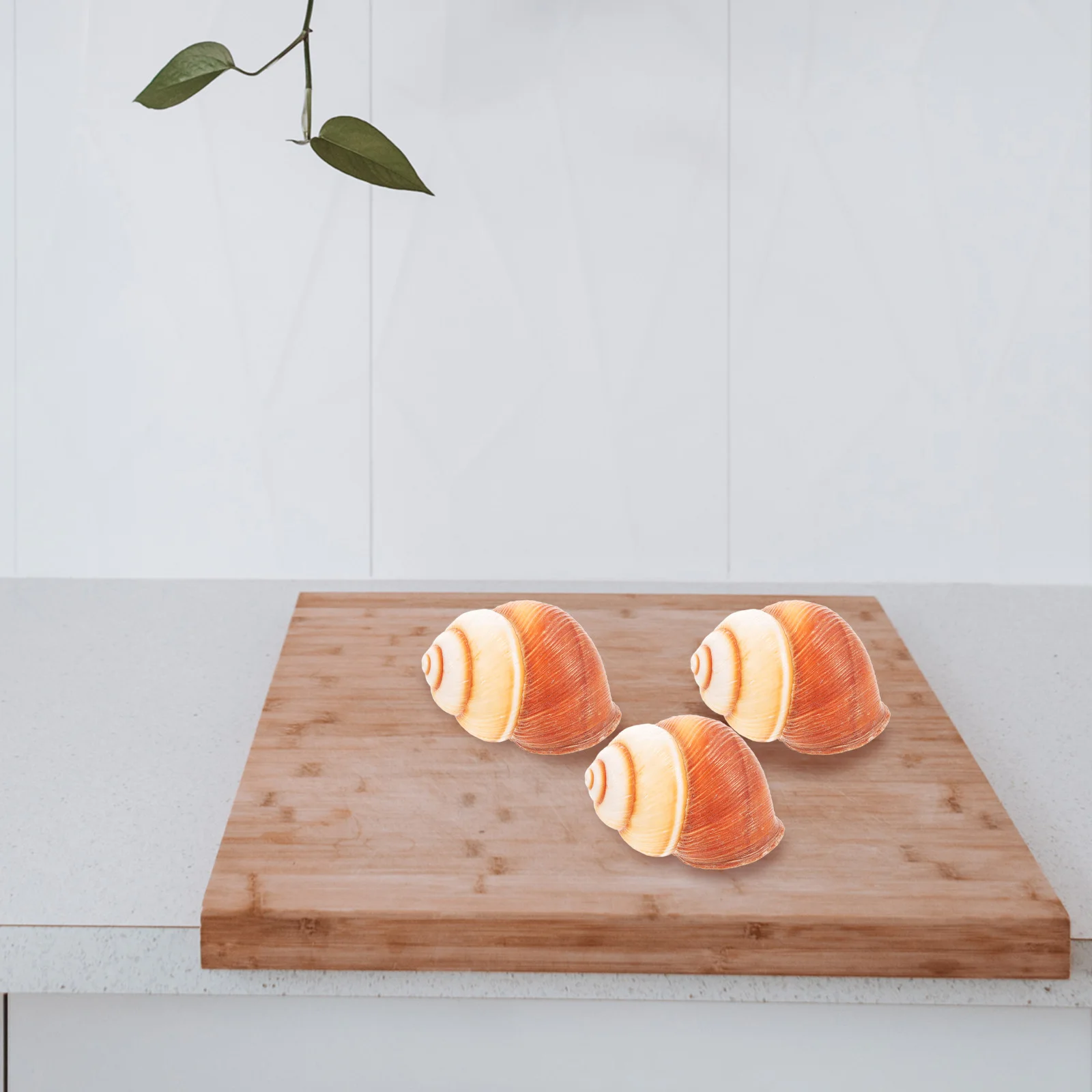 

5Pcs Escargot Baking Shells Natural Snail Shell for Real French Meal Heavy Duty Non-Burr Surface Freezer Safe Multi-Use