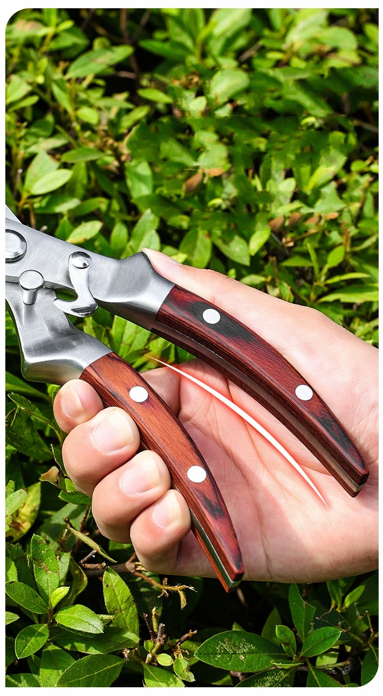 Multifunktionale Garten Trimmen Werkzeug Gartenschere Garten Werkzeuge Arbeitsersparnis Schere Gartenpflanze Scharfe Zweig Pruners – Detail 7