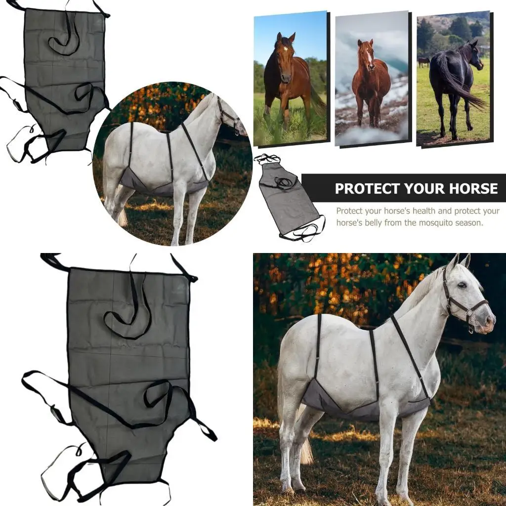 y1uc-horse-fly-fly-belly