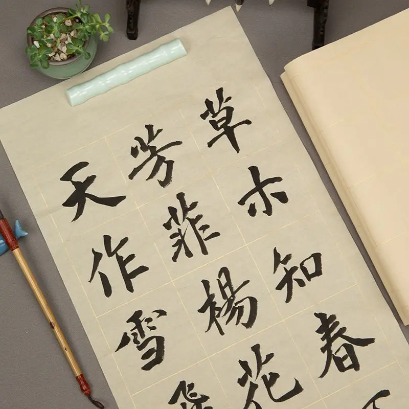 Calligraphy Paper Chinese Brush Calligraphy Half Ripe Rice Paper Beginner Small Regular Script Practice Copy Scriptures Papier