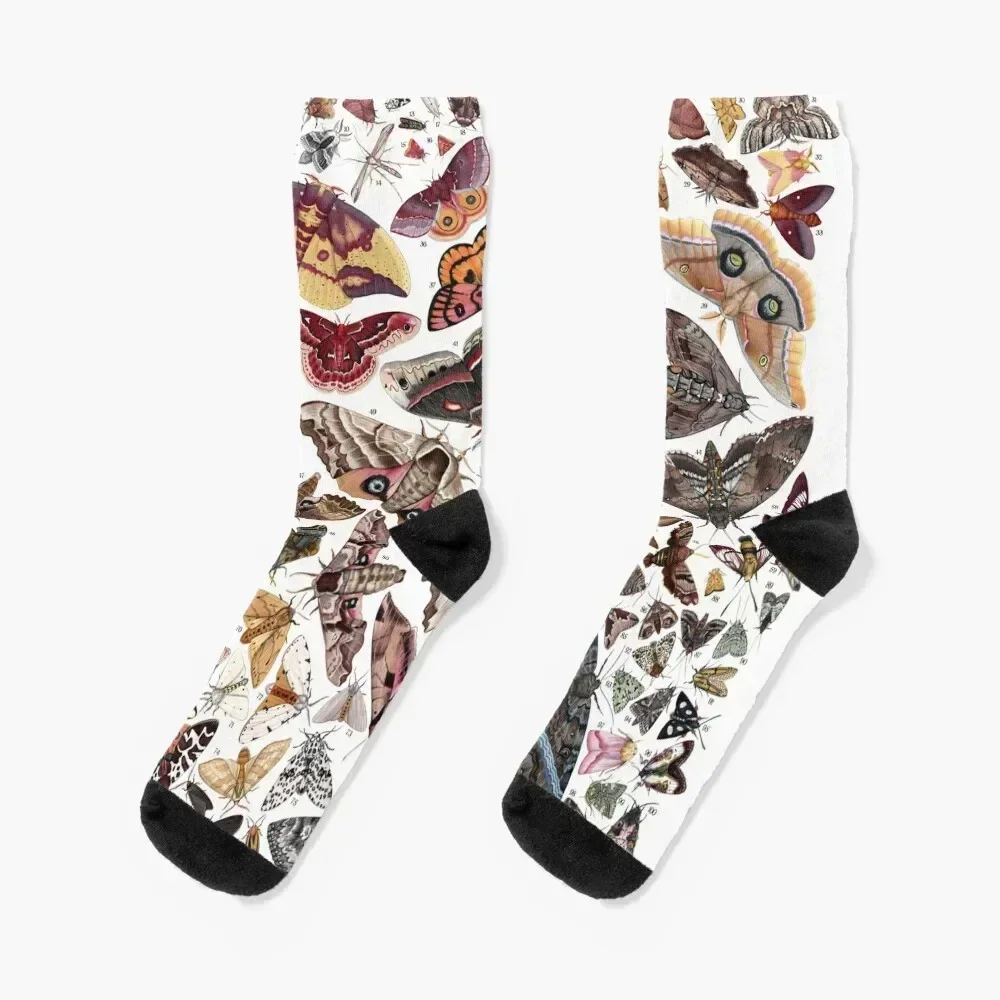 Moths of North America Socks Thermal man winter tennis sports and leisure Boy Child Socks Women's