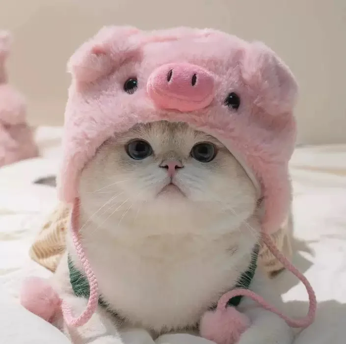 Cute Plush Pet Hat for Cats and Small Dogs, Cartoon Lion Pig Duck Shaped Pet Costume Headwear, Adjustable Funny Cap for Kittens