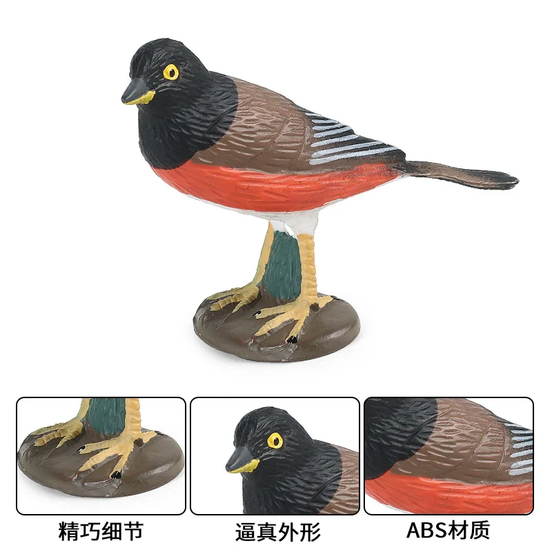 simulation birds, animals, solid models, magpies, sparrows, parrots, birds, birds, children's early education toys and ornaments