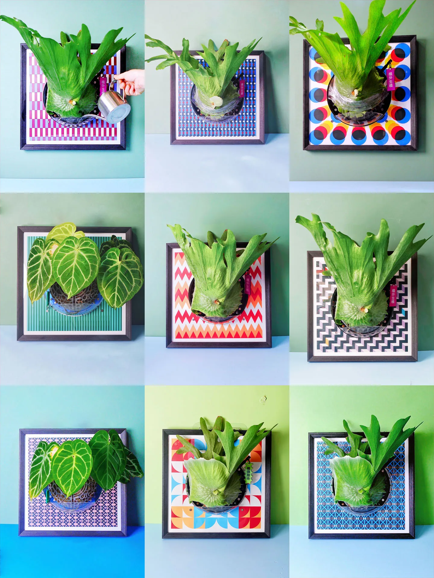 tablero-decorativo-grande-de-pared-con-diseno-de-mariposa-cuerno-de-ciervo-y-planta-de-helecho-con-marco-de-fotos-de-absorc