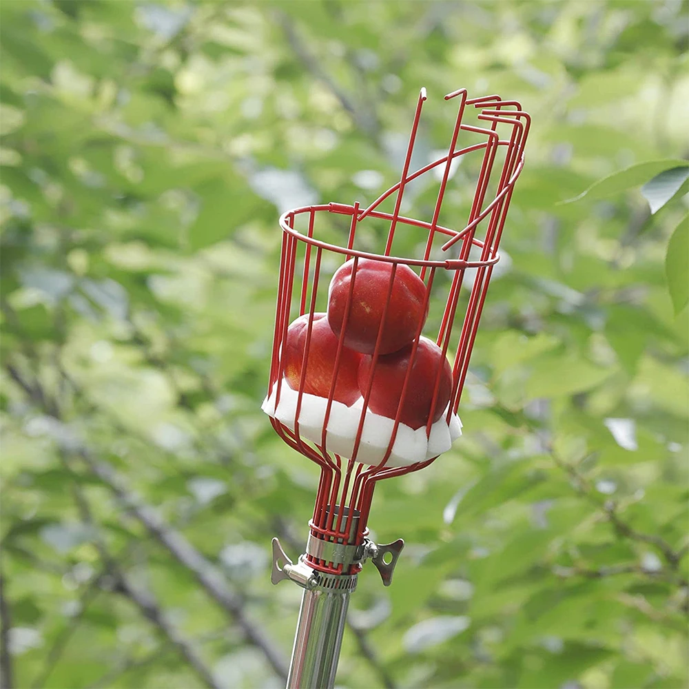 Attrezzo per Raccolta Frutta i - Fruit Picker Basket Telescopic Pole recensione e prezzo