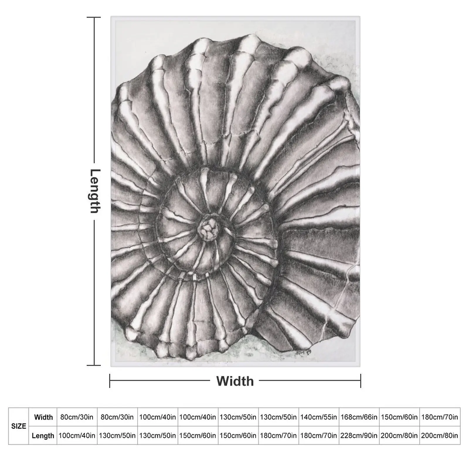 Ammonite Fossil on Gray Throw Blanket blankets ands Single Winter beds Soft Beds Blankets