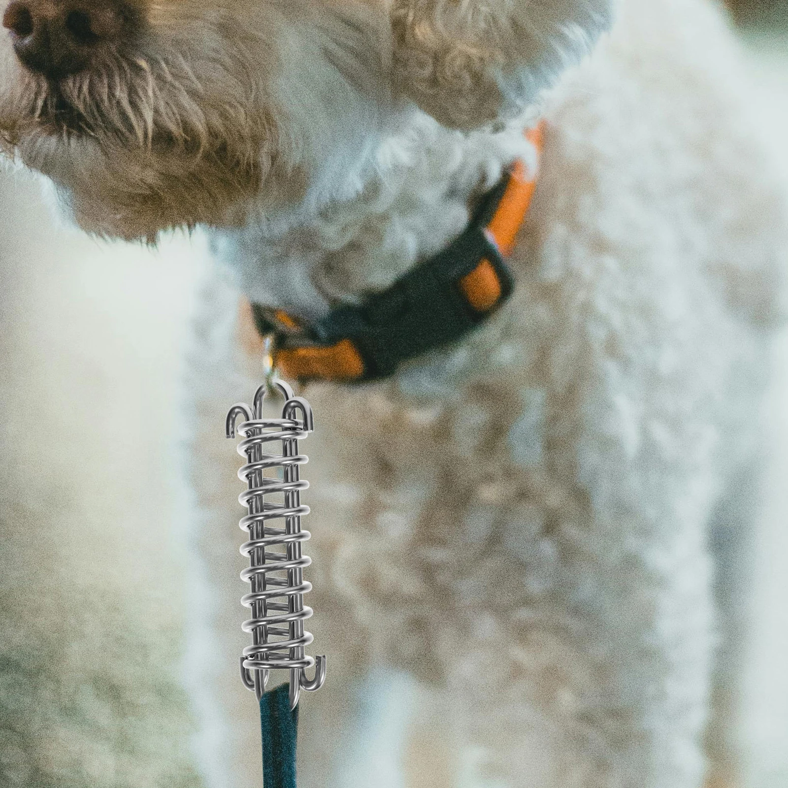 

Stainless Steel Dog Chain Spring Toy Leash Shock Springs Heavy Duty Tension Bungee for Large Dogs