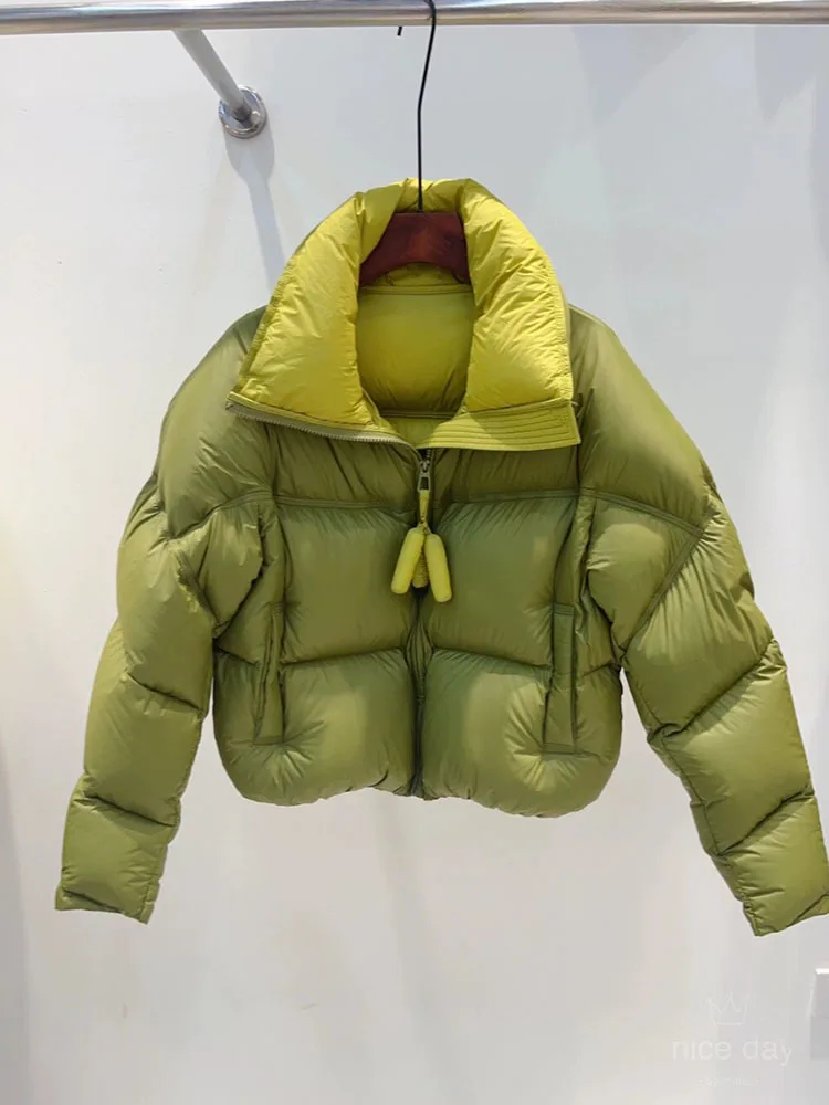 2024 New Winter White Duck Down Casual Coat Women Stand Collar Zipper Loose Puffer Parka Thicken Warm Down Short Jacket