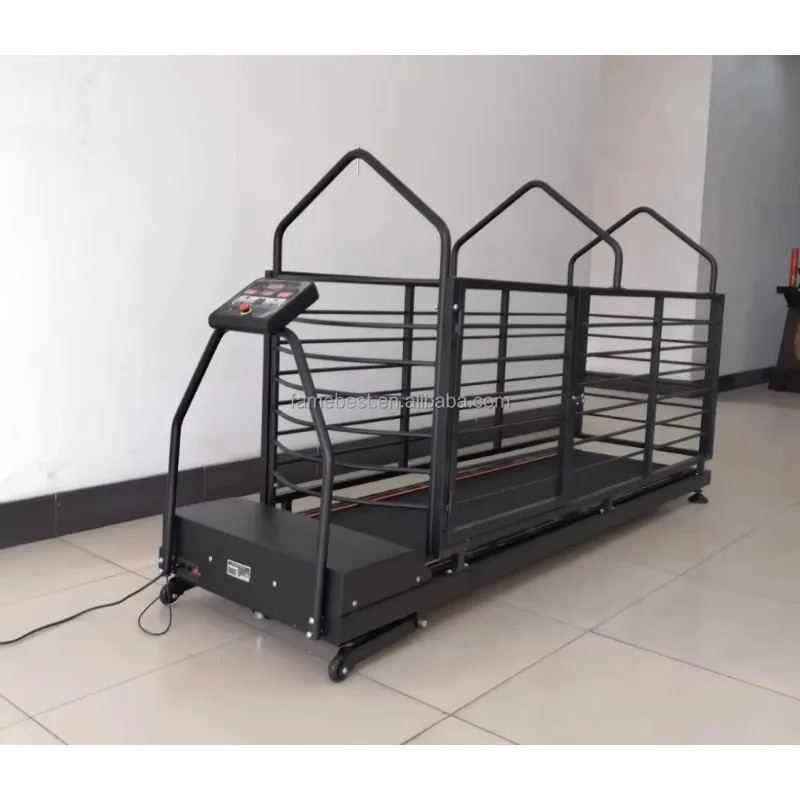 Cinta de correr para perros y mascotas, máquina de entrenamiento para correr con LCD, cinta de correr interior, juguete deportivo para mascotas