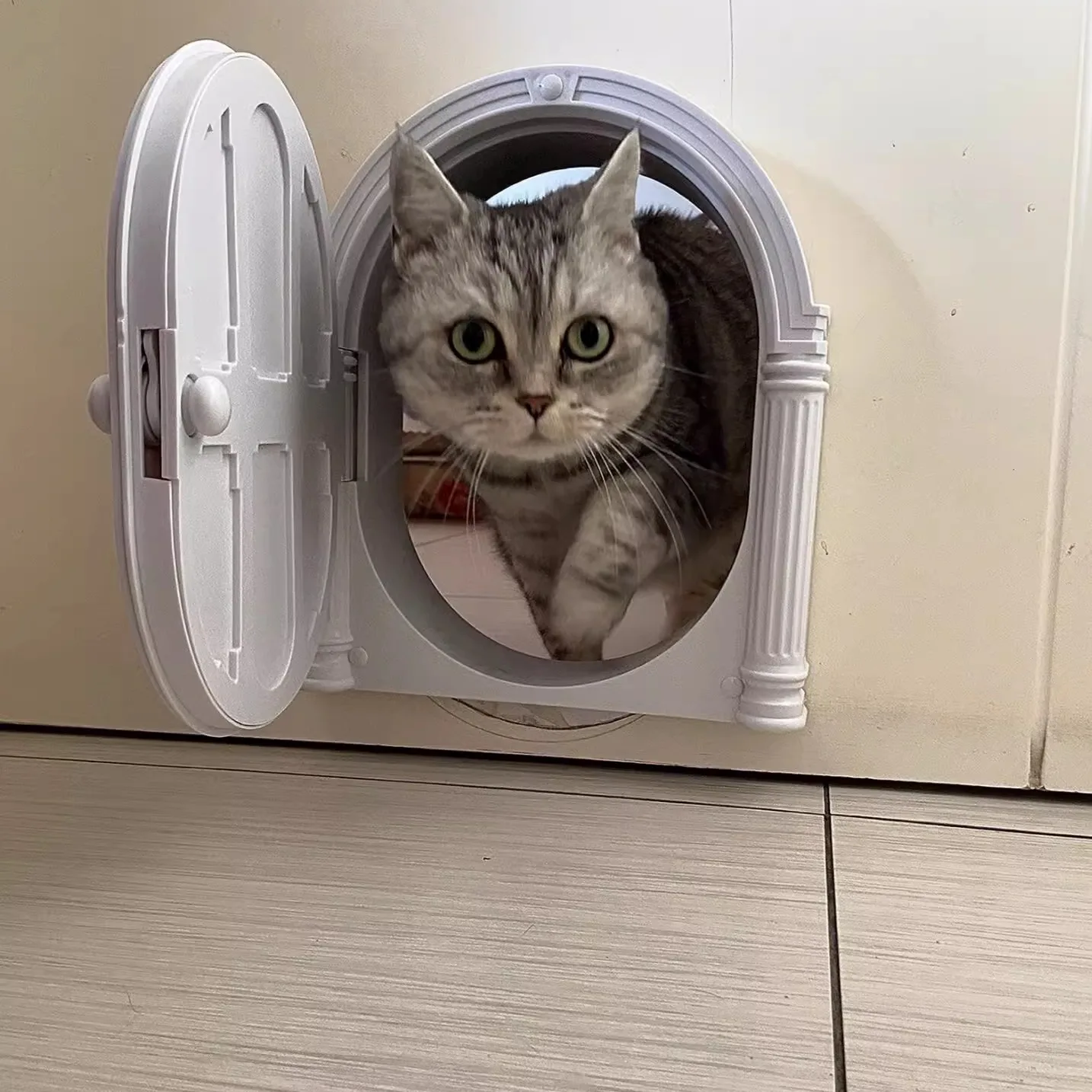 

Дверца для животных (кошек и собак) с легкой установкой на деревянные и металлические двери, подходит для котят и маленьких собак.