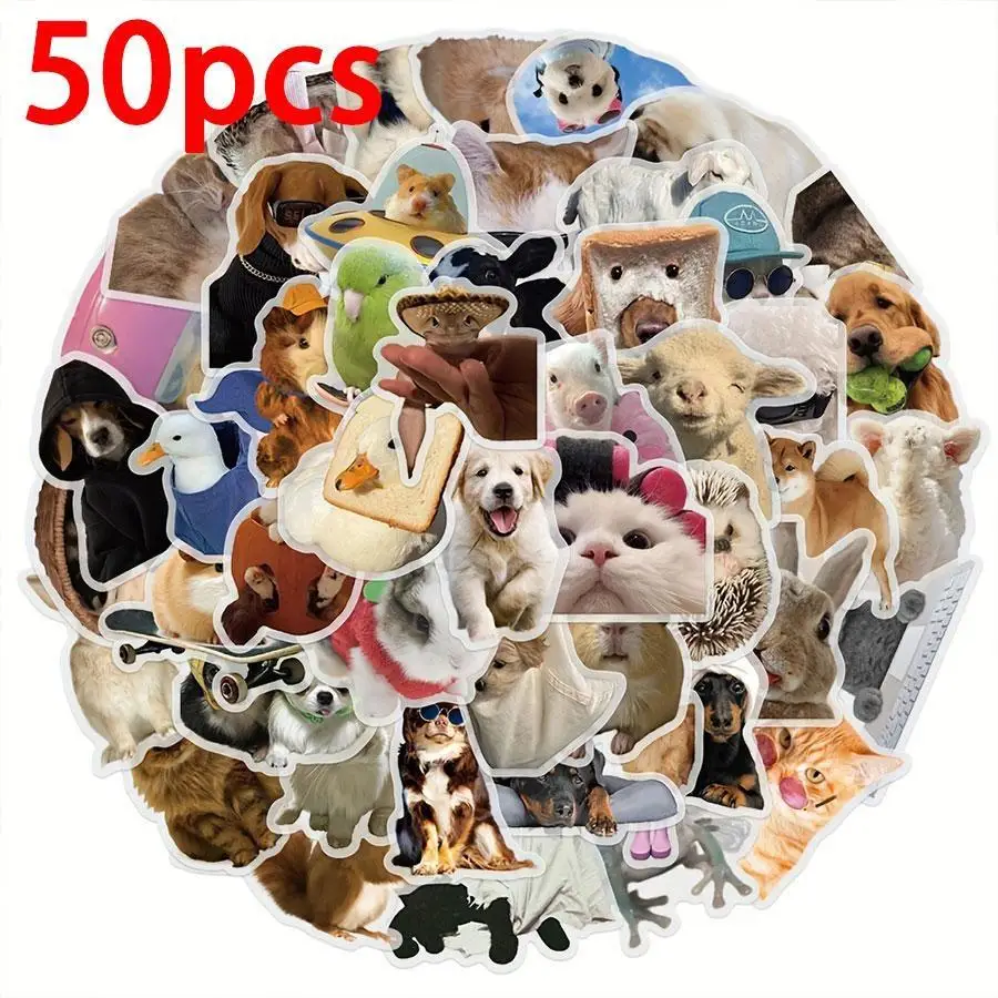 50pcs Funny Animal Stare Stickers-Waterproof and Transparent PET Material,Suitable for Decorating Mobile Phones,Laptops,Guitars