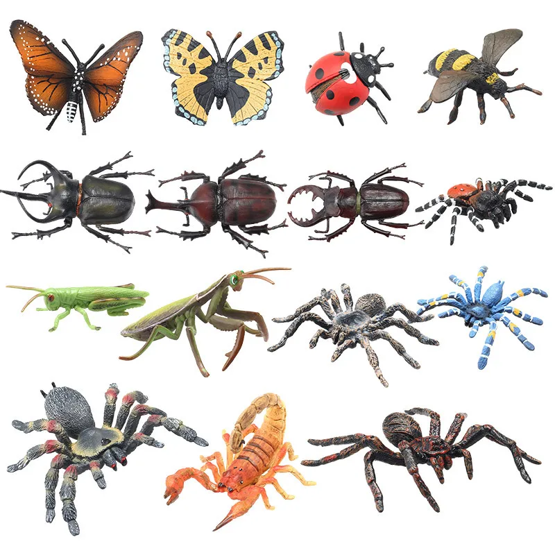 Simulation Animal Insect Cognitive Model Plastic Handicraft Miniatures School Teaching Tool Home Decoration Toy gift A56