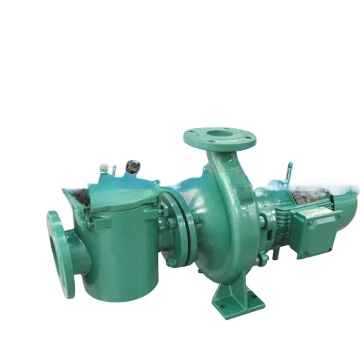 Commercial swimming pool pump Bath filter circulation sewage suction pump Large cast iron water pump