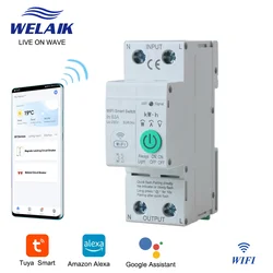 WELAIK WIFI Tuya 40A 63A Electrical Box Smart Branch Circuit Breaker Switch 220V