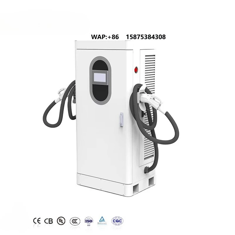 AMPPAL Single Double Charger Power Vehicle Dc Car Floor-mounted Commercial Fast E v Ev Charging Station for Electric Car