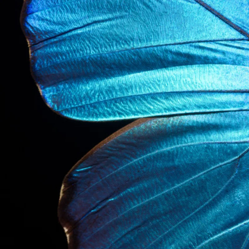 

Передний бампер для FMS 1/24 FCX24M Camel Cup D90 D110 Defender First Generation Range Rover Discovery