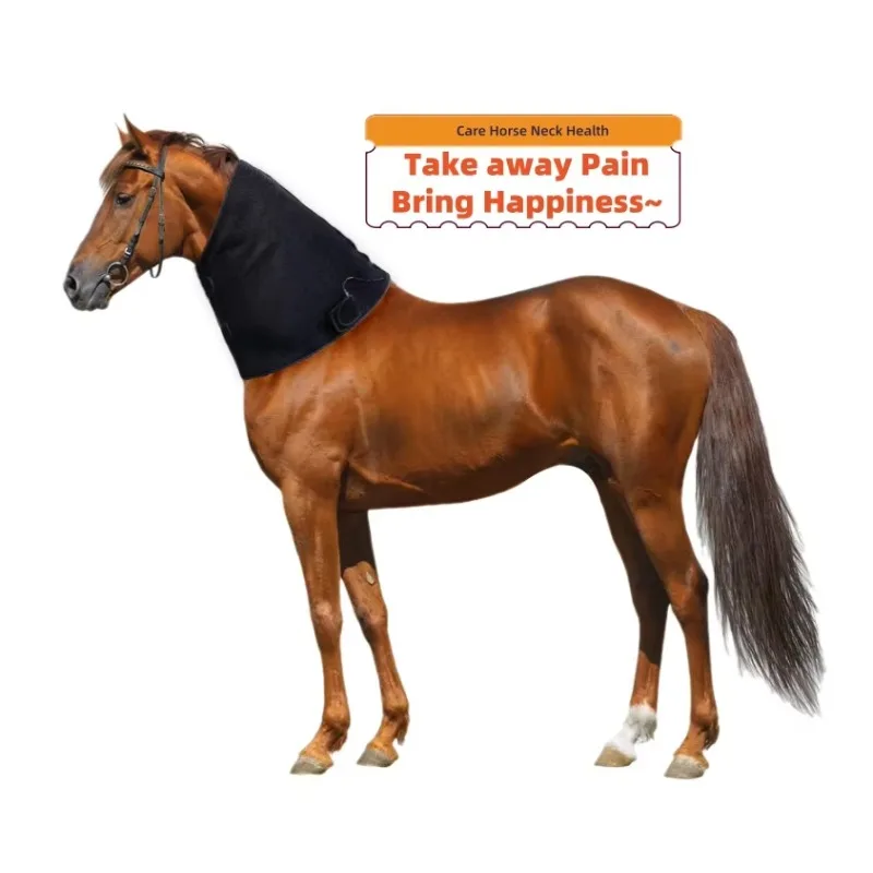 

Horse Infrared Therapy Equipment 660nm 850nm Red Light for Neck Areas Veterinary Instrument for Equine Care Equestrian Care