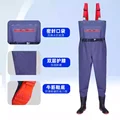 B-Protect knees-B