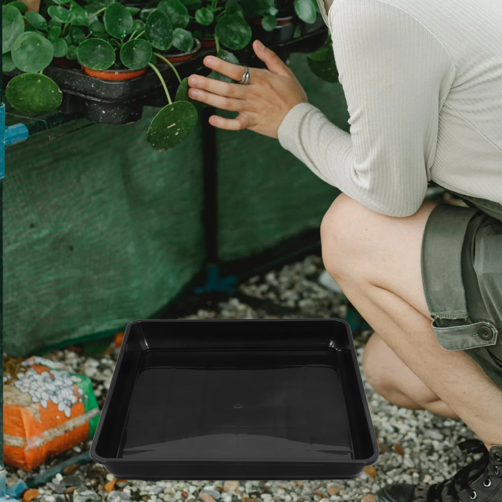 2 pezzi vassoio per vasi da fiori scatole per uova di quaglia contenitore ermetico due dispenser drenaggio delle piante vassoi di plastica per piante sottobicchiere