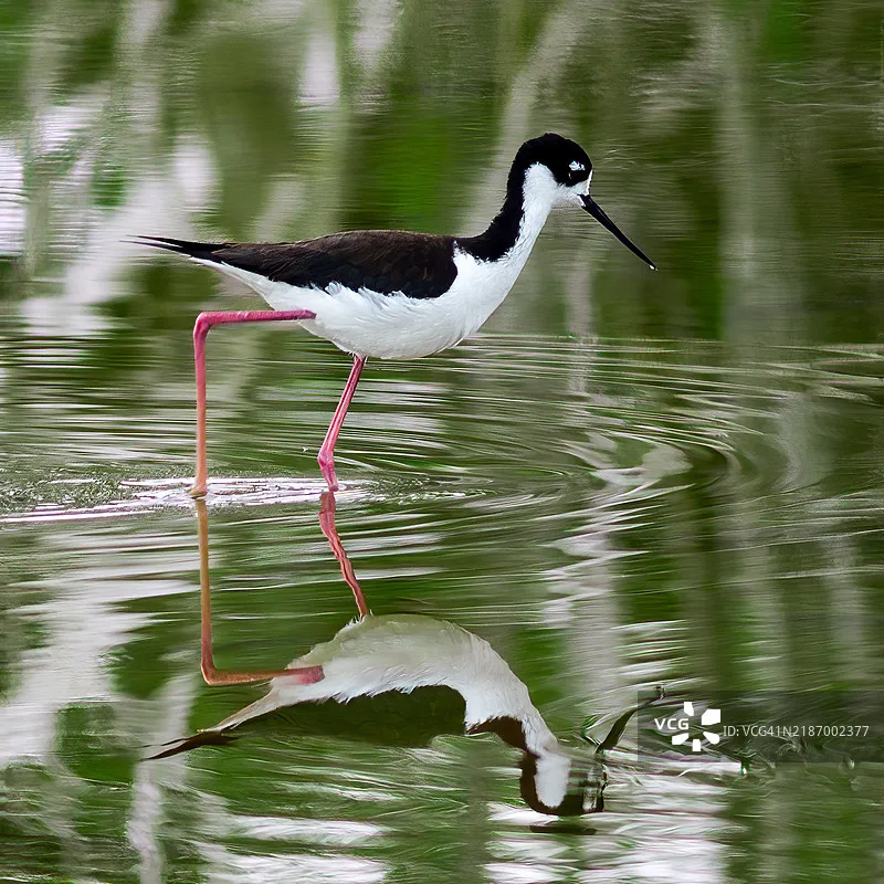 

Бесколлекторный двигатель iFlight XING E PRO 2306 1700KV 2450KV 2-6S, совместимый с 5-6-дюймовыми пропеллерами для FPV-дронов и радиоуправляемых гоночных квадрокоптеров