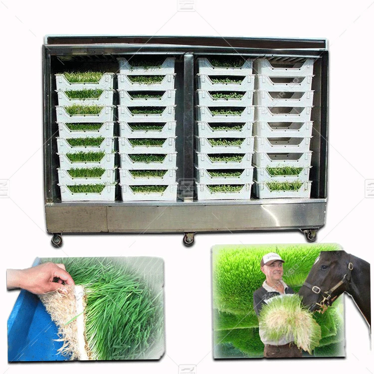 Hydroponic big 500kg daily output animals hydroponic fodder barley sprouting machine