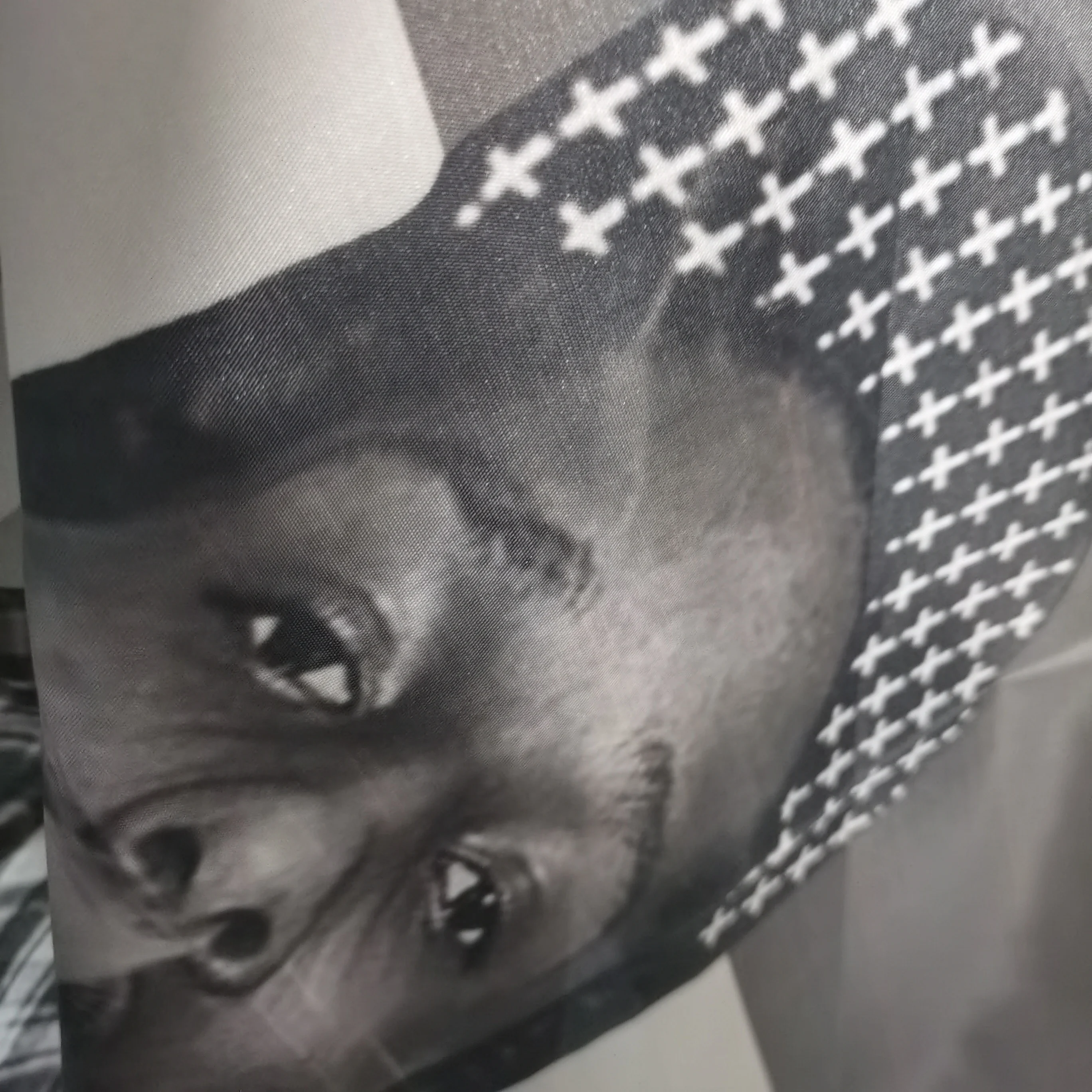 Asap Rockys العلم 3x5ft 2x3ft مغني الراب ديكور غرفة الجمالية ألبوم الموسيقى ملصقات فنية معلقة غرفة نوم الحفل خلفية المشجعين هدية